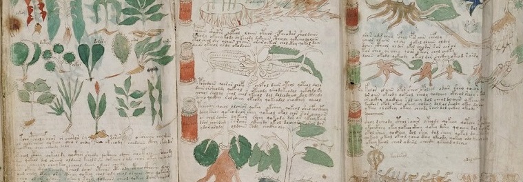 FARMACEUTICA VOYNICH